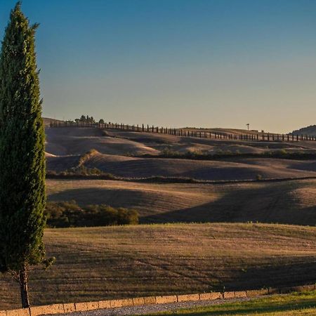 Casa Lavanda - Podere Fossaccio Asciano Εξωτερικό φωτογραφία