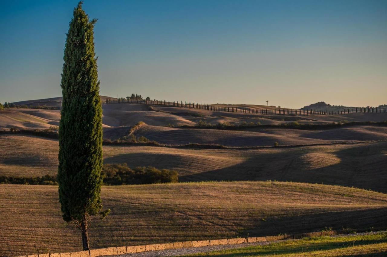 Casa Lavanda - Podere Fossaccio Asciano Εξωτερικό φωτογραφία